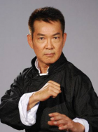 布鲁伊全集免费观看
